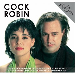 Cook Robin