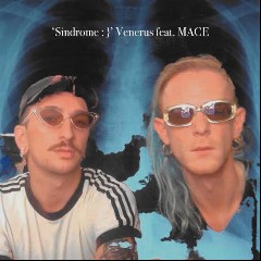 Venerus & MACE