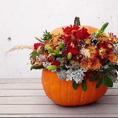 Kubris Blumen