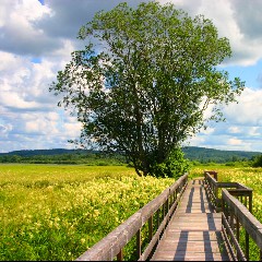 Entspannung Natur