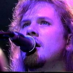 The Jeff Healey Band