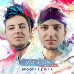 Brooks & KSHMR