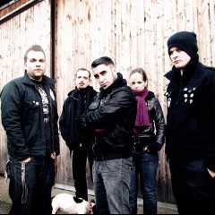 Broilers