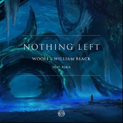 wooli x william black
