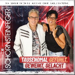 Die Schornsteinfeger