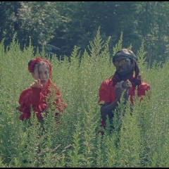 Tei Shi feat. Blood Orange