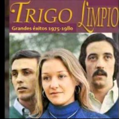 Trigo Limpio