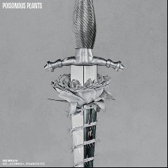 Frankyeffe, BELLADONNA