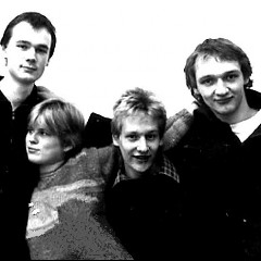 Bärchen und die Milchbubis