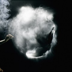 Tricky meets South Rakkas Crew