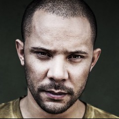 Wildstylez
