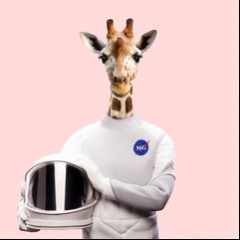 More Giraffes