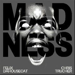 Felix da Housecat & Chris Trucher