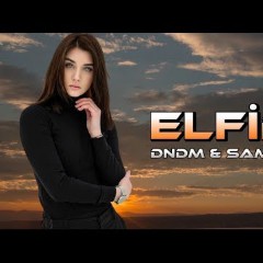 Elfida