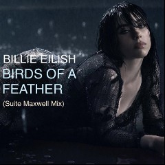 BIRDS OF A FEATHER BY BILLIE EILISH on XHMSL