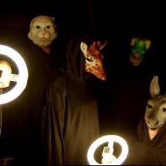 The Sound of Animals Fighting