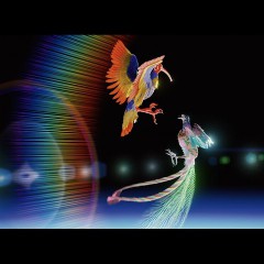 Flume, Kučka & QUIET BISON