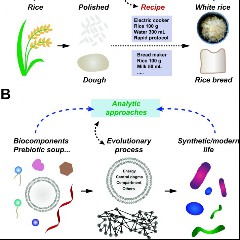 Abiogenesis