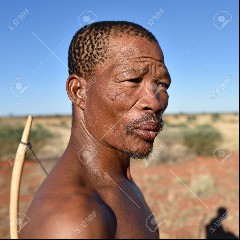 Bushman