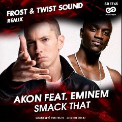 Akon ftg. Eminem