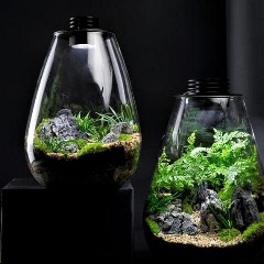 Bioscape