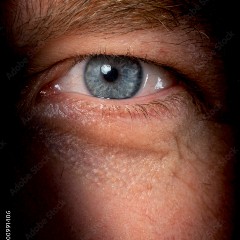 HIDDEN EYES