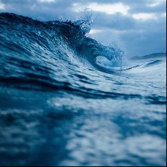 OCEAN BANK