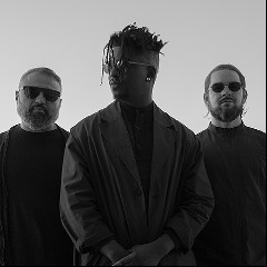 Animals as Leaders