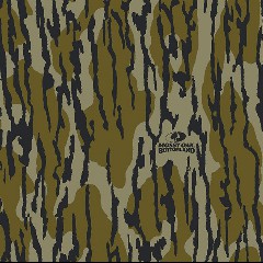 Bottomland