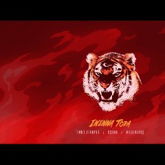 Timmy Trumpet, KSHMR, Mildenhaus