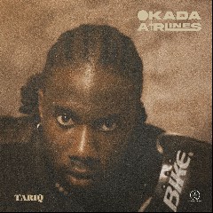 TAR1Q