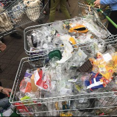 Plastic Assault