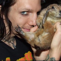 Blitzkid