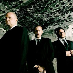 WILDBWOYS & Die Firma