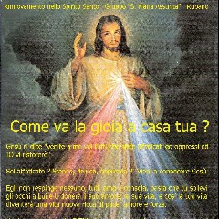 Rinnovamento nello Spirito Santo