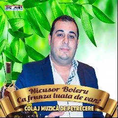 Nicușor Boieru