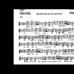Bülbülüm Altın Kafeste