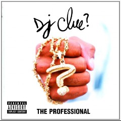 The Professional DJ