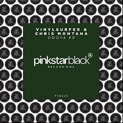 Chris Montana & Vinylsurfer