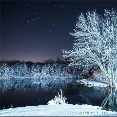 Frozen Night