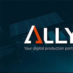 Ally Parelly