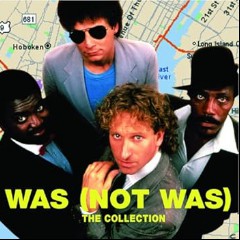 Was (Not Was)