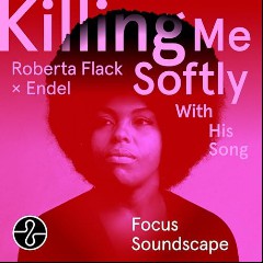 Killing Me Softly With His Song