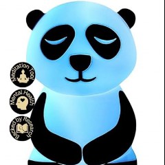 Calm Panda