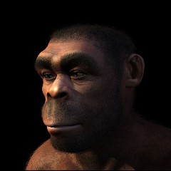 Cavemen