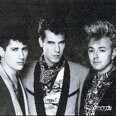 Stray Cats