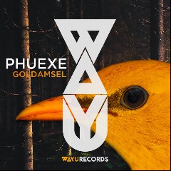 PHUEXE