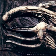 Wilson/Eckinger/Giger