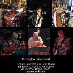 The Dogtown Blues Band