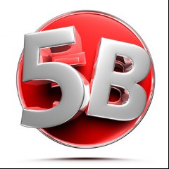 5B